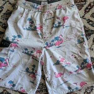 Boys rip curl flamingo swim trunks